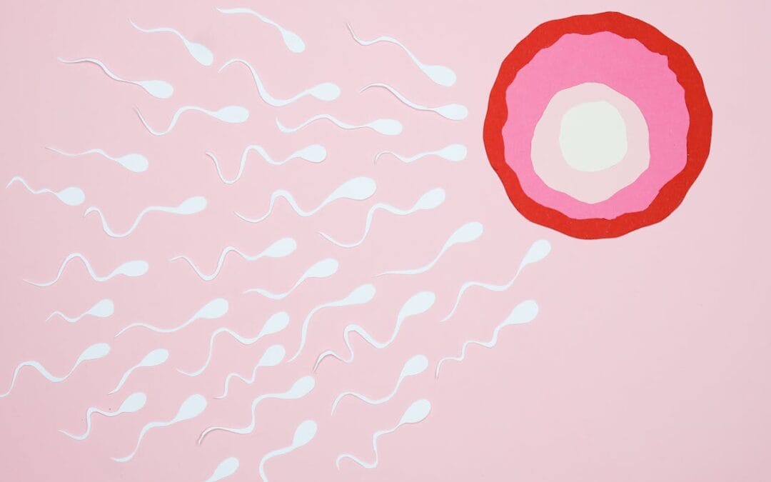 Fresh vs. Frozen Donor Eggs: Comparing Your Options in Canada