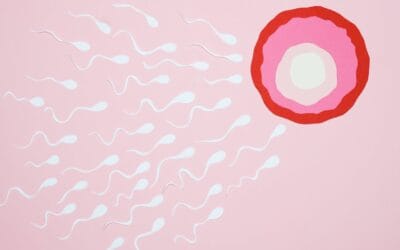 Fresh vs. Frozen Donor Eggs: Comparing Your Options in Canada